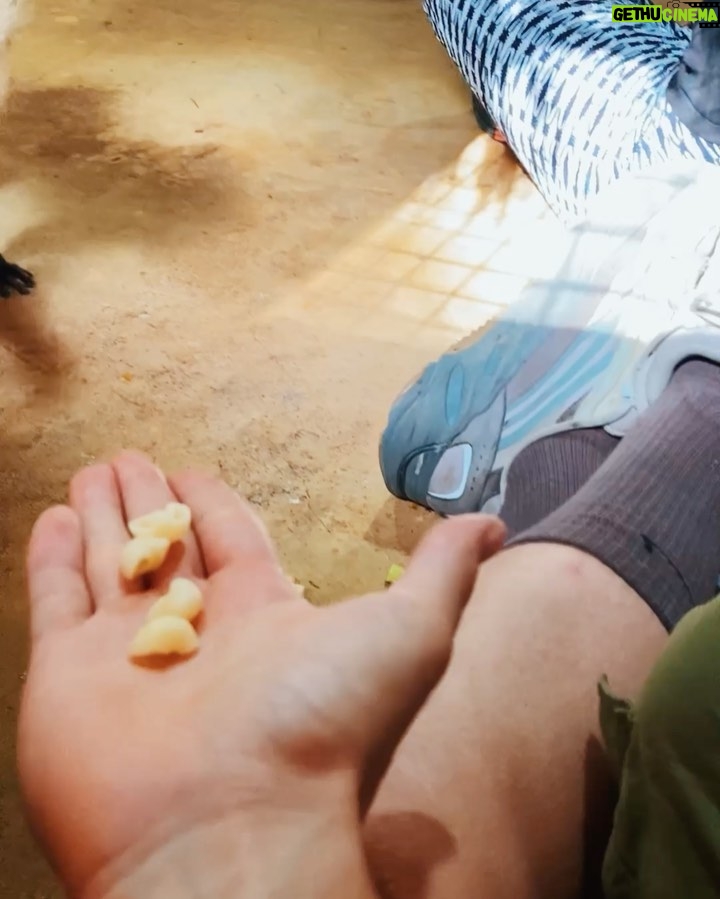 Riccardo Dose - 108.3K Likes - HO RISCHIATO DI DIVENTARE IL SUO SPUNTINO PROTEICO.
In assoluto uno delle esperienze più belle della mia vita.
Tutti gli animali che vedete si trovano all’interno di una riserva naturale e sono stati salvati da condizioni disumane a cui l’uomo gli aveva obbligati a vivere.
Come sempre le uniche BESTIE siamo noi.