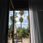 Riccardo Dose Instagram - Secondo voi sono il braccio più tamarro della Spagna? 🇪🇸 Palma De Mallorca, Spain