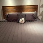 Richard Harmon Instagram - It’s been 3 months with my Canadian-made @endy mattress. It's very comfortable while still being supportive, so I have great night's sleep and my back doesn’t hurt in the morning like it used to. I can’t recommend it enough! Also if you decide to get an @endy mattress, there is a risk free 100 night trial to make sure it’s the right mattress for you, so what do you have to lose? Use my link to upgrade your sleep: https://glnk.io/ykyj/richardsharmon #endypartner #ad #giftedproduct