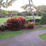 Richard Harmon Instagram – Thank you to @lumeriamaui for our fantastic stay with you last week. Put all of us into such a wonderful mindset coming into the new year. And to @thewoodencratemaui for the delicious food every day. Lumeria Maui Educational Retreat