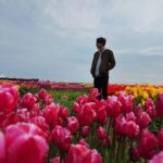 Richard Harmon Instagram - 🌷 Tulip Experience Amsterdam