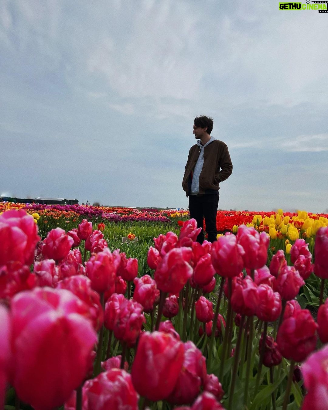 Richard Harmon Instagram - 🌷 Tulip Experience Amsterdam
