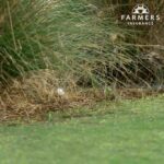 Rickie Fowler Instagram - Some might call it a lucky roll...@wearefarmers knows it’s that little extra something. Swipe through to see the journey and learn more about Farmers Policy Perks at farmers.com/rickie