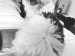 Ricky Montaner Instagram - 🏡👫🏼🐶