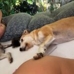 Ricky Montaner Instagram - Aquí estoy en el cuarto de hotel de Mendoza antes de salir al lugar que dará inicio a la gira Desgenerados.. acabo de pasar una semana en familia con la gente que más amo en el mundo para recargarnos de energía para darlo todo empezando hoy. Aquí un par de fotos.. no usé mucho el cel.. me faltaron muchas.. pero bueno.. Gracias a cada una de las personas que vendrán a vernos en esta gira que empieza hoy en Mendoza y no se cuando termina… tenemos muchos años soñando con ustedes. Graciassssss x venir!!! 👌🏻👌🏻👌🏻👌🏻