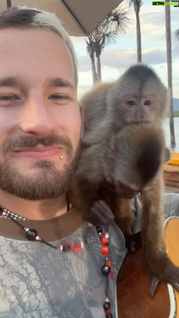 Ricky Montaner Instagram - Cuando me preguntan como la estoy pasando en Venezuela. 🐵🐵🐵🐵🇻🇪🇻🇪🇻🇪🇻🇪