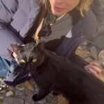 Rita Lobo Instagram - Gateiros, uni-vos! Deitei no chão, mas fiz uma nova amizade em Toledo. 🇪🇸🐈‍⬛