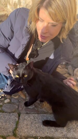 Rita Lobo Instagram - Gateiros, uni-vos! Deitei no chão, mas fiz uma nova amizade em Toledo. 🇪🇸🐈‍⬛