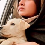 Ritu Singh Instagram - I just played this audio nd see his reaction ….🥹 Try this audio nd see the reaction of your pet 🐶 Use bas dekhna hai ki mobile ke andar kon ro raha hai …aur ye jake use chup kara de hahah .. so cute na🐶 This was quite surprising for me because I dnt know much about dogs nature ♥️But believe me m loving to have this baby named :madow #loveanimals