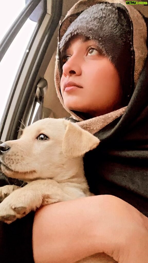Ritu Singh Instagram - I just played this audio nd see his reaction ….🥹 Try this audio nd see the reaction of your pet 🐶 Use bas dekhna hai ki mobile ke andar kon ro raha hai …aur ye jake use chup kara de hahah .. so cute na🐶 This was quite surprising for me because I dnt know much about dogs nature ♥️But believe me m loving to have this baby named :madow #loveanimals
