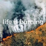 Rob Kardashian Instagram - The lungs of the earth are in flames. 20% of the earth’s oxygen is produced by the Amazon... hundreds of thousands of people call it home, as well as 3 million species of plants and animals. 🙏🏼🙏🏼 #Repost @rainforestalliance: "The lungs of the Earth are in flames. 🔥 The Brazilian Amazon—home to 1 million Indigenous people and 3 million species—has been burning for more than two weeks straight. There have been 74,000 fires in the Brazilian Amazon since the beginning of this year—a staggering 84% increase over the same period last year (National Institute for Space Research, Brazil). Scientists and conservationists attribute the accelerating deforestation to President Jair Bolsonaro, who issued an open invitation to loggers and farmers to clear the land after taking office in January.⁣ ⁣ The largest rainforest in the world is a critical piece of the global climate solution. Without the Amazon, we cannot keep the Earth’s warming in check. ⁣ ⁣ The Amazon needs more than our prayers. So what can YOU do?⁣ ⁣ ✔ As an emergency response, donate to frontline Amazon groups working to defend the forest. ⁣ ✔ Consider becoming a regular supporter of the Rainforest Alliance’s community forestry initiatives across the world’s most vulnerable tropical forests, including the Amazon; this approach is by far the most effective defense against deforestation and natural forest fires, but it requires deep, long-term collaboration between the communities and the public and private sectors. Link in bio.⁣ ✔ Stay on top of this story and keep sharing posts, tagging news agencies and influencers. ⁣ ✔ Be a conscious consumer, taking care to support companies committed to responsible supply chains.⁣ Eliminate or reduce consumption of beef; cattle ranching is one of the primary drivers of Amazon deforestation. ✔ When election time comes, VOTE for leaders who understand the urgency of our climate crisis and are willing to take bold action—including strong governance and forward-thinking policy.⁣ ⁣ #RainforestAlliance #SaveTheAmazon #PrayForAmazonia #AmazonRainforest #ActOnClimate #ForestsResist #ClimateCrisis 📸: @mohsinkazmitakespictures / Windy.com" (via #InstaRepost @AppsKottage