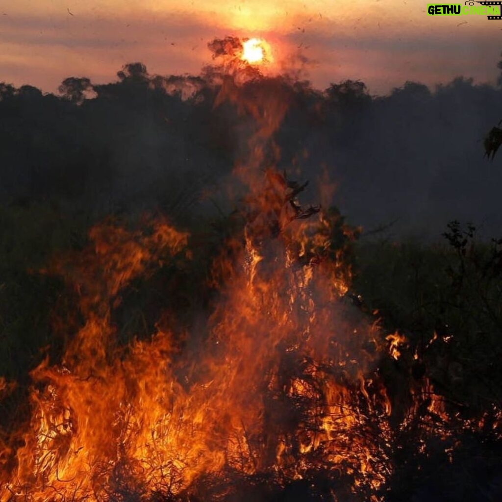 Rob Kardashian Instagram - The lungs of the earth are in flames. 20% of the earth’s oxygen is produced by the Amazon... hundreds of thousands of people call it home, as well as 3 million species of plants and animals. 🙏🏼🙏🏼 #Repost @rainforestalliance: "The lungs of the Earth are in flames. 🔥 The Brazilian Amazon—home to 1 million Indigenous people and 3 million species—has been burning for more than two weeks straight. There have been 74,000 fires in the Brazilian Amazon since the beginning of this year—a staggering 84% increase over the same period last year (National Institute for Space Research, Brazil). Scientists and conservationists attribute the accelerating deforestation to President Jair Bolsonaro, who issued an open invitation to loggers and farmers to clear the land after taking office in January.⁣ ⁣ The largest rainforest in the world is a critical piece of the global climate solution. Without the Amazon, we cannot keep the Earth’s warming in check. ⁣ ⁣ The Amazon needs more than our prayers. So what can YOU do?⁣ ⁣ ✔ As an emergency response, donate to frontline Amazon groups working to defend the forest. ⁣ ✔ Consider becoming a regular supporter of the Rainforest Alliance’s community forestry initiatives across the world’s most vulnerable tropical forests, including the Amazon; this approach is by far the most effective defense against deforestation and natural forest fires, but it requires deep, long-term collaboration between the communities and the public and private sectors. Link in bio.⁣ ✔ Stay on top of this story and keep sharing posts, tagging news agencies and influencers. ⁣ ✔ Be a conscious consumer, taking care to support companies committed to responsible supply chains.⁣ Eliminate or reduce consumption of beef; cattle ranching is one of the primary drivers of Amazon deforestation. ✔ When election time comes, VOTE for leaders who understand the urgency of our climate crisis and are willing to take bold action—including strong governance and forward-thinking policy.⁣ ⁣ #RainforestAlliance #SaveTheAmazon #PrayForAmazonia #AmazonRainforest #ActOnClimate #ForestsResist #ClimateCrisis 📸: @mohsinkazmitakespictures / Windy.com" (via #InstaRepost @AppsKottage