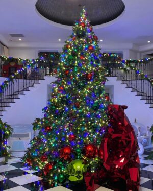 Rob Kardashian Instagram - THANK YOU so much to @jeffleatham and his wonderful team for always making the Christmas vibe perfect in my house every year!!! My daughter is about to be so Happy!! She wanted a rainbow Disney princess tree so that’s what she gets‼️🤪🤪🤣🤣💪💪🙏🙏🎄🎄🎄🎄🎄🎄 Sending LOVE to all! 🙇🏽‍♀️🙇🏽‍♀️💙💙