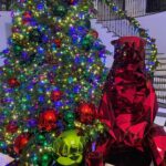 Rob Kardashian Instagram - THANK YOU so much to @jeffleatham and his wonderful team for always making the Christmas vibe perfect in my house every year!!! My daughter is about to be so Happy!! She wanted a rainbow Disney princess tree so that’s what she gets‼️🤪🤪🤣🤣💪💪🙏🙏🎄🎄🎄🎄🎄🎄 Sending LOVE to all! 🙇🏽‍♀️🙇🏽‍♀️💙💙
