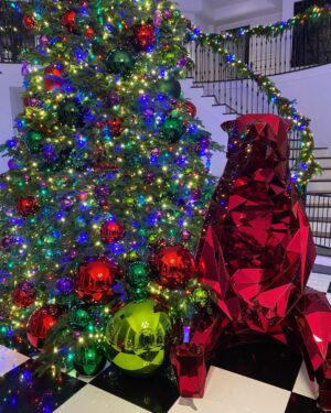 Rob Kardashian Instagram - THANK YOU so much to @jeffleatham and his wonderful team for always making the Christmas vibe perfect in my house every year!!! My daughter is about to be so Happy!! She wanted a rainbow Disney princess tree so that’s what she gets‼️🤪🤪🤣🤣💪💪🙏🙏🎄🎄🎄🎄🎄🎄 Sending LOVE to all! 🙇🏽‍♀️🙇🏽‍♀️💙💙
