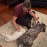 Rob Lowe Instagram - Just 2 good boys and a good girl.