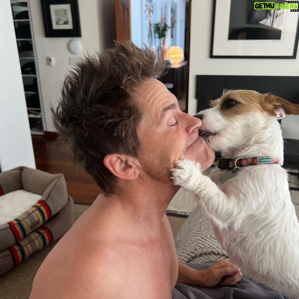 Rob Lowe Instagram - Here is Daisy, with her morning check in. Great way to wake up!