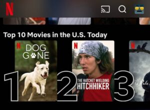 Rob Lowe Instagram - THANK YOU EVERYONE FOR MAKING #DOGGONE THE NUMBER 1 MOVIE ON @NETFLIX!!!!