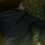 Rob McElhenney Instagram - Mythic Quest is back and ready to play. But this workplace comedy is more than just a game. Swipe through to see how @mythicquest's ensemble of cast and characters grew closer and more chaotic in Season 3. Watch #MythicQuest, streaming on Apple TV+ – - Mythic Chemistry - Testing Allegiances - Building New Bonds - A Well Rounded Party Follow the cast and creators: @robmcelhenney, @hornsbone, @meganganz, @charlottenicdao, @danielpudi, @ashlyburch, @imanihakim, @jennisennis, @blacktresscomedy