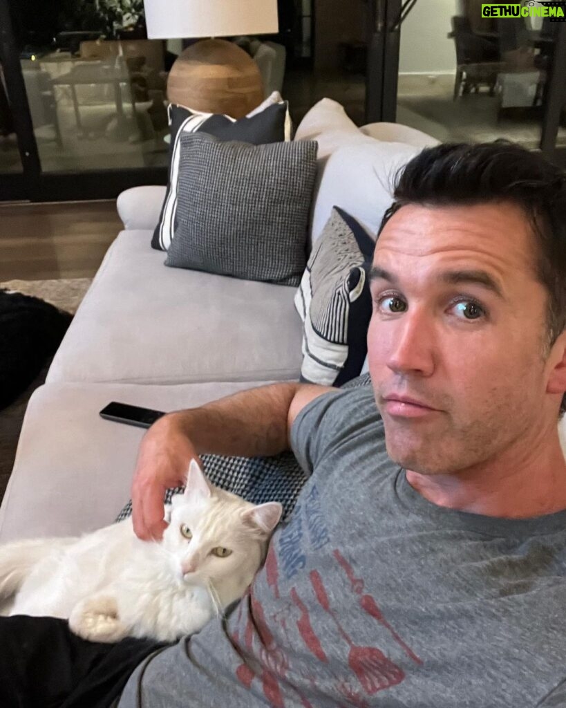 Rob McElhenney Instagram - A love story in three acts… Act 1: Man hates cats. 😤 Act 2: Man meets the right cat 🐈 Act 3: Man falls so in love with this cat that he questions everything he’s ever felt about anything in his entire life. ❤️ ❤️ ❤️ ❤️ The End ❤️❤️❤️❤️❤️❤️❤️❤️❤️❤️