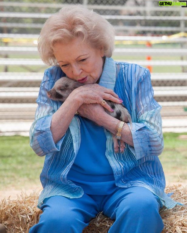 Rob McElhenney Instagram - Thank you for making me feel less alone. Thank you for giving me something to look forward to, week after week. Thank you for your phone calls disregarding our children and asking about our pets. I love you, Betty. Goodbye, you perfect beam of golden sunshine. ❤️ 🐶 🐱