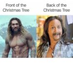 Rob Schneider Instagram - Dear Christmas revelers, This has to stop. Please! @JasonMomoa WISHES he had ONE of my beautiful eyes, (my good eye!) I am going to the gym right now, I swear. Yours truly, Ula... (the back of the tree) Ps. Please WATCH #asianmommamexicankids STREAMING NOW ON @Netflix