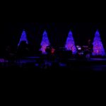 Rob Schneider Instagram - Merry Christmas Everyone! Check out the incredible Tim Ray Trio