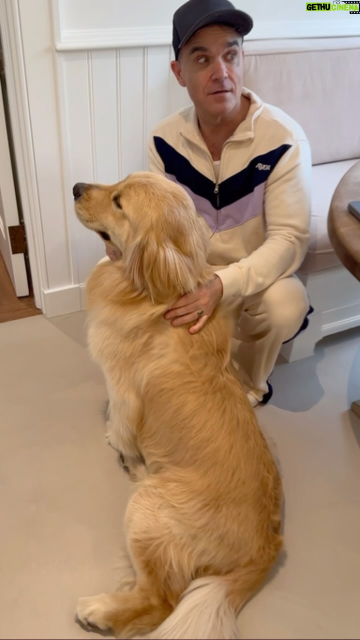 Robbie Williams Instagram - @robbiewilliams Getting a whole lotta love this morning @shopayda #sundayfunday #dogsofinstagram #cuddlebuddy AWxx
