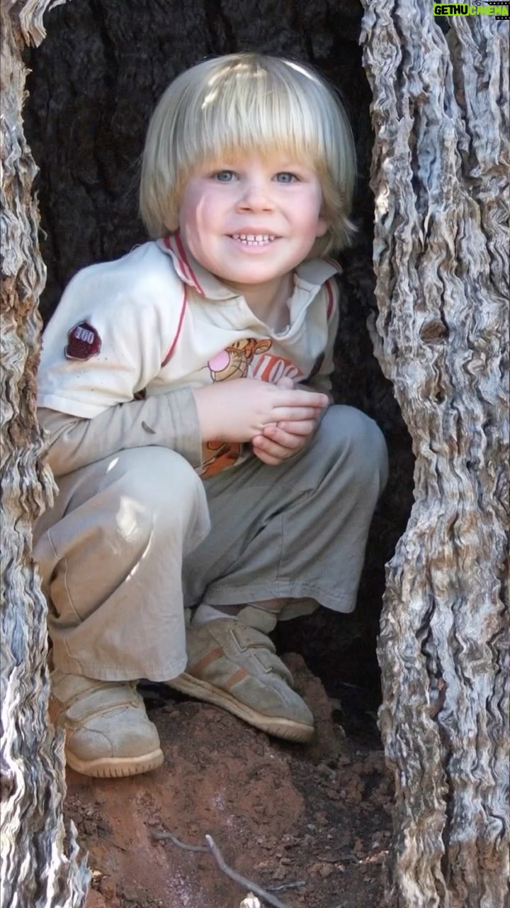 Robert Clarence Irwin - 181K Likes - Same tree stump, 15 years apart… bit less roomy these days 😂