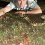 Robert Clarence Irwin Instagram - Near miss! Definitely had a good laugh with this grumpy carpet python - but great to get him reacued off the road and relocated to a much safer spot!