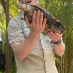 Robert Clarence Irwin Instagram - Our new Irwin’s turtles, the species that my dad discovered in the wild, now have a new home @australiazoo. He dreamed of a day when all our guests could experience this rare species firsthand and now it’s a reality!