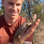 Robert Clarence Irwin Instagram - Bearded dragon! A common species in Australia’s outback, but a beautiful reptile nonetheless!!