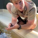 Robert Clarence Irwin Instagram - Wow. This was a special moment. I think Dad would be pretty proud that we’ve become the first to successfully breed the turtle that he discovered. A rare, and unique species under threat in the wild has just been given a second chance.