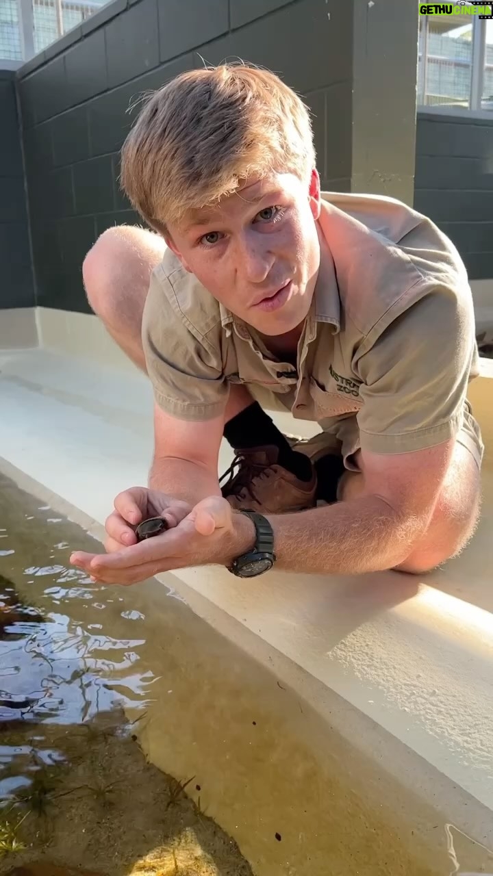 Robert Clarence Irwin - 1.6 Million Likes - Wow. This was a special moment. I think Dad would be pretty proud that we’ve become the first to successfully breed the turtle that he discovered. A rare, and unique species under threat in the wild has just been given a second chance.