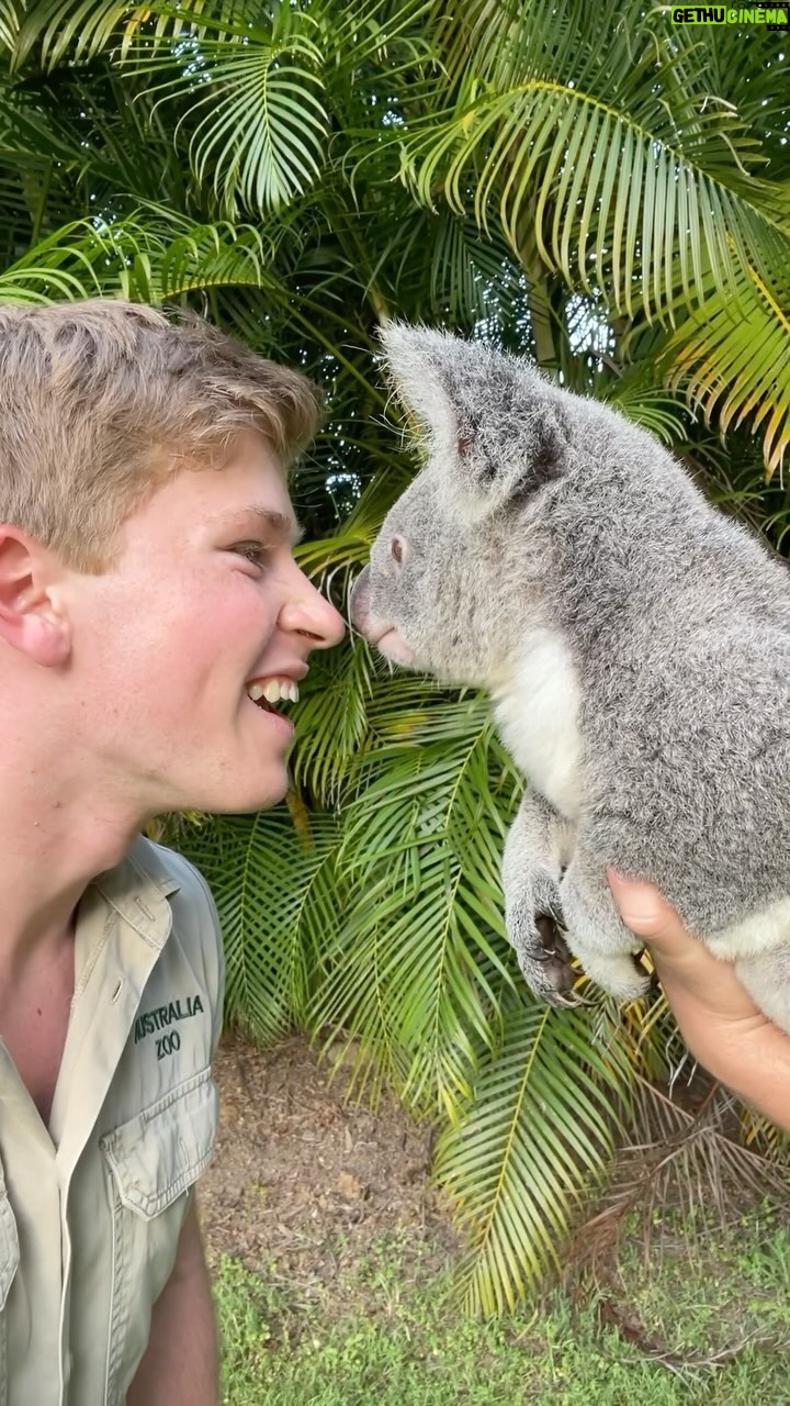 Robert Clarence Irwin - 310.5K Likes - Happy #WorldWildlifeDay 🌏
