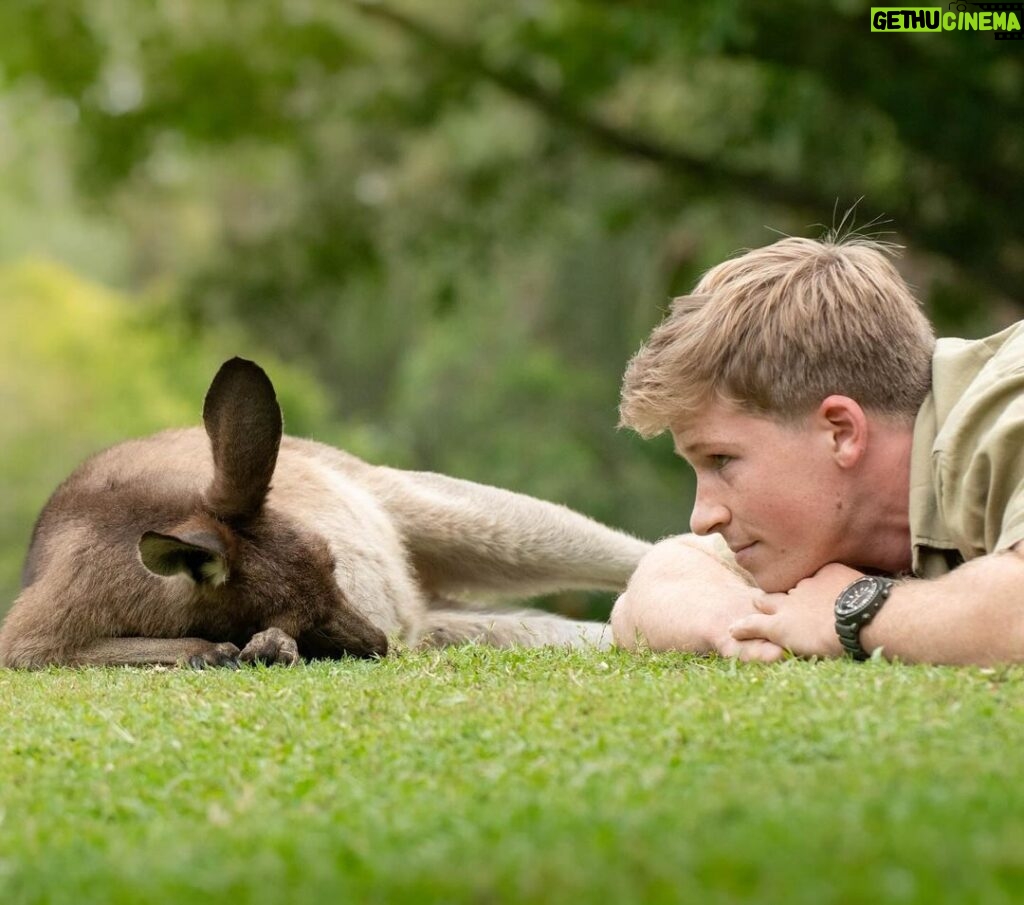 Robert Clarence Irwin Instagram - Lazy Sundays in the roo paddock 😌 Australia Zoo