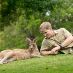 Robert Clarence Irwin Instagram - Lazy Sundays in the roo paddock 😌 Australia Zoo