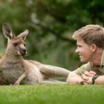 Robert Clarence Irwin Instagram - Lazy Sundays in the roo paddock 😌 Australia Zoo