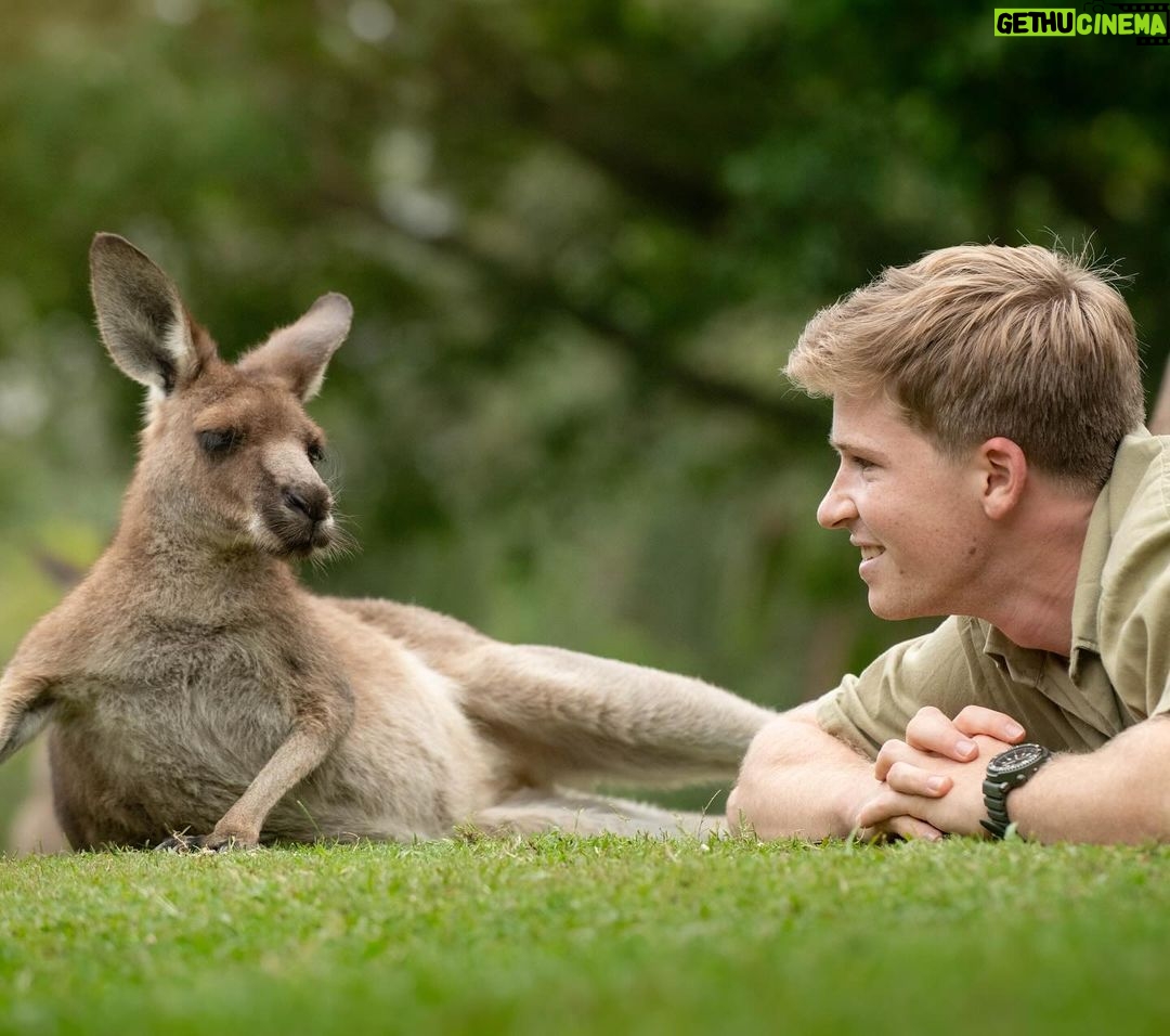 Robert Clarence Irwin Instagram - Lazy Sundays in the roo paddock 😌 Australia Zoo