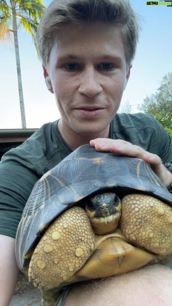Robert Clarence Irwin Instagram - Catching up with our tortoises on my evening run, I love these guys ☺🐢