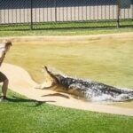 Robert Clarence Irwin Instagram - Like father, like son. 📸kareenasolomons