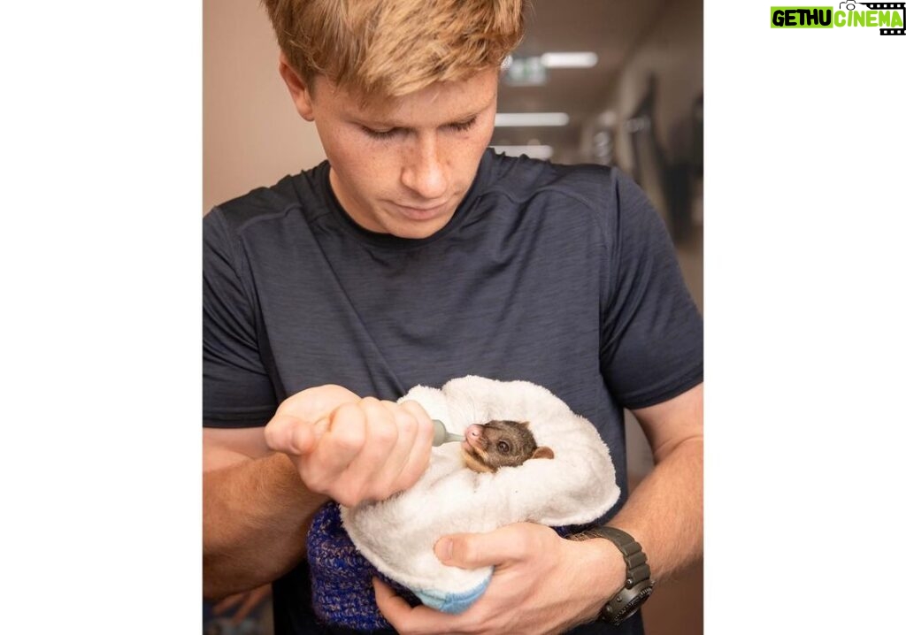 Robert Clarence Irwin Instagram - Feeding time at the Australia Zoo Wildlife Hospital, with @lukereavley!