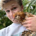 Robert Clarence Irwin Instagram - The newest members of the Irwin Family - Mochi, Cindy and Waffle the chickens… welcome to the fam, girls ☺️❤️