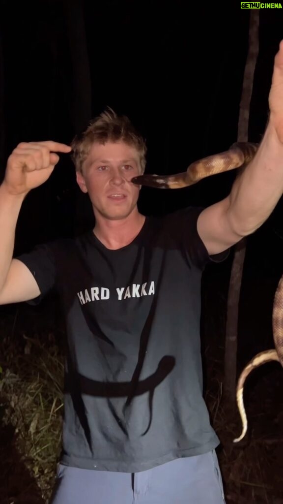 Robert Clarence Irwin Instagram - What a find… a wild black-headed python!