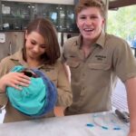 Robert Clarence Irwin Instagram - Meet one of the most special patients here at the Australia Zoo Wildlife Hospital.