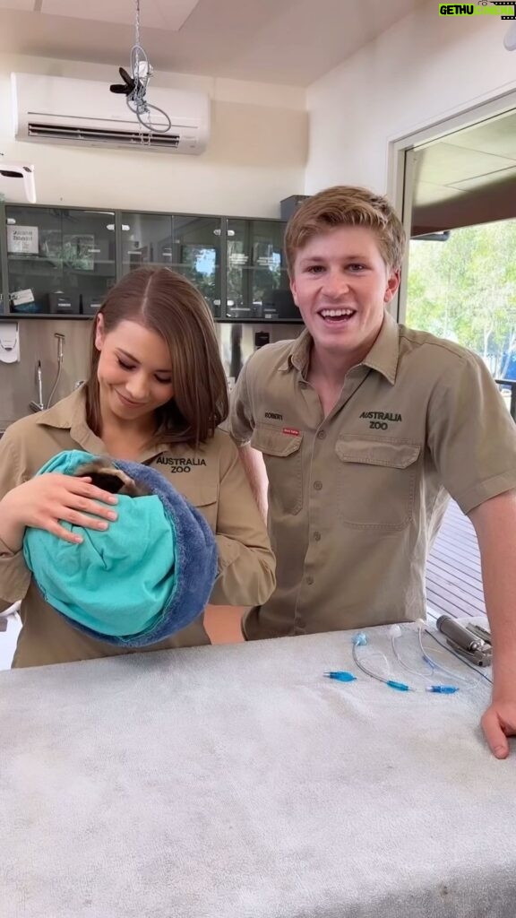 Robert Clarence Irwin Instagram - Meet one of the most special patients here at the Australia Zoo Wildlife Hospital.