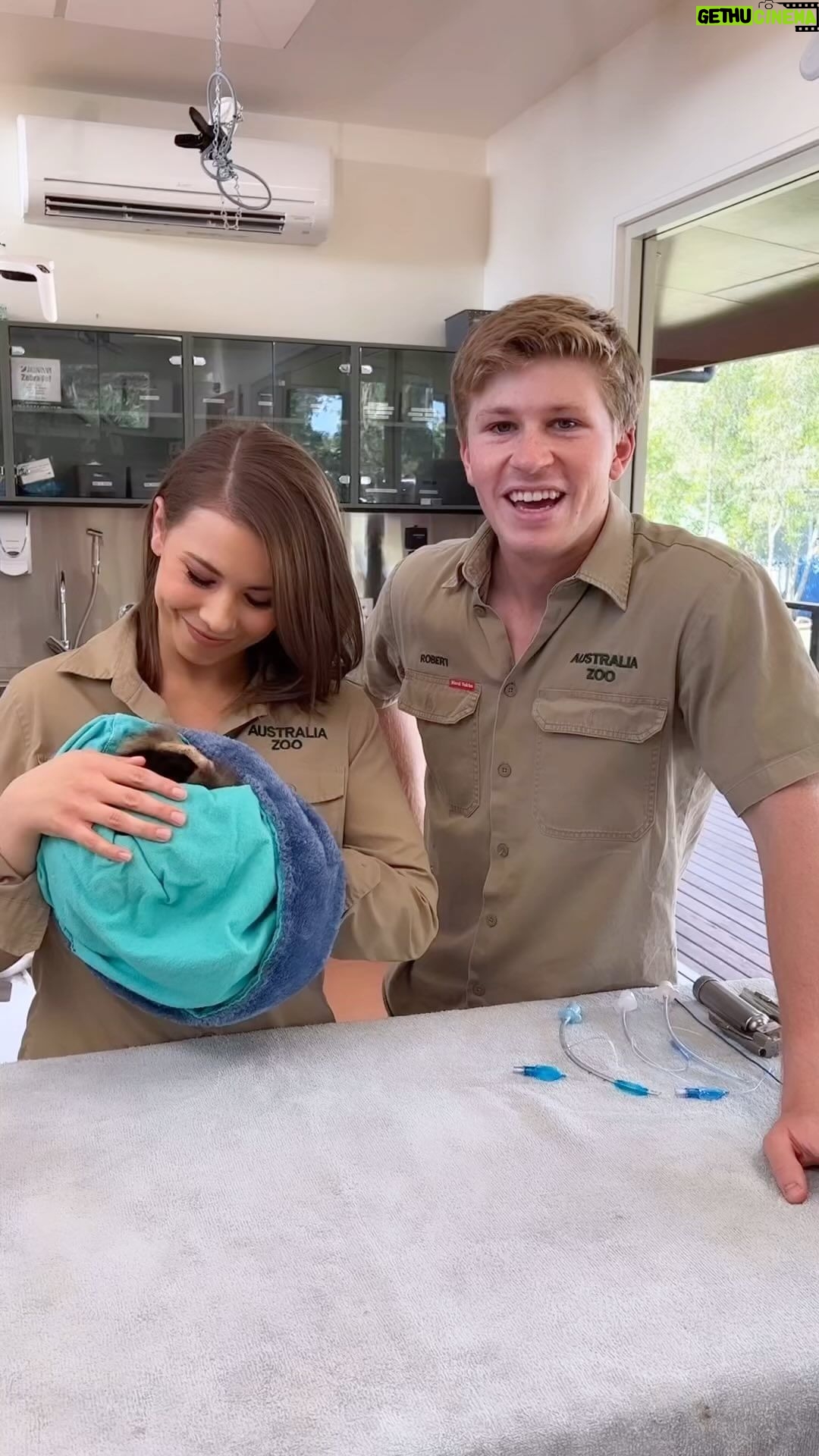 Robert Clarence Irwin - 212.5K Likes - Meet one of the most special patients here at the Australia Zoo Wildlife Hospital.