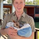 Robert Clarence Irwin Instagram - Meet Sully! One of the many lives saved at our Wildlife Hospital ❤️