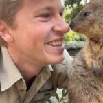 Robert Clarence Irwin Instagram - Come meet the newest additions to our @australiazoo animal family… quokkas!!