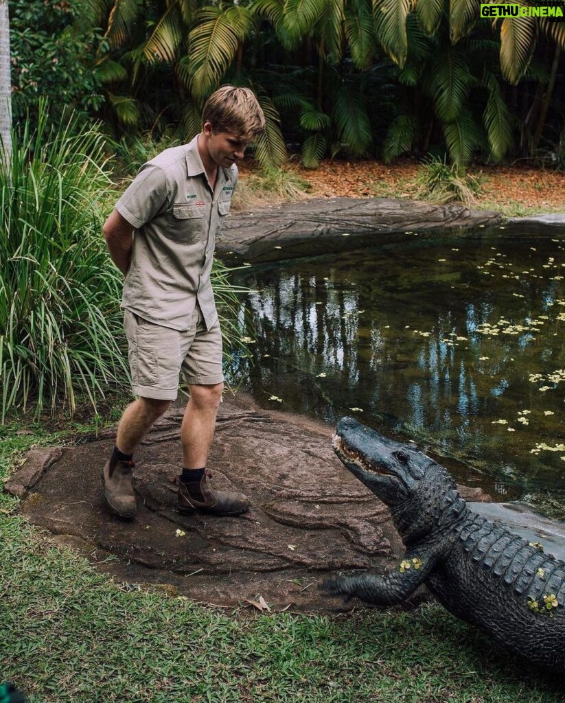 Robert Clarence Irwin Instagram - Daisy ❤️🐊 Thank you @robchianelli and @lesliemosier for this beautiful pic!